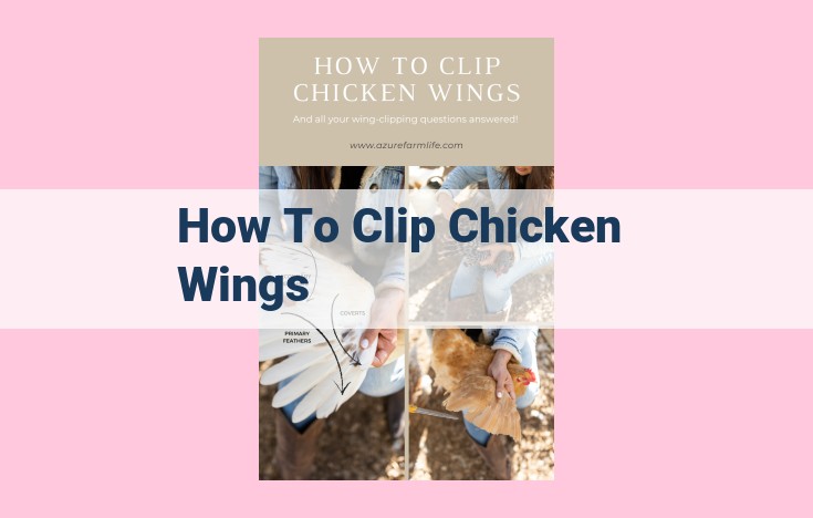 how to clip chicken wings