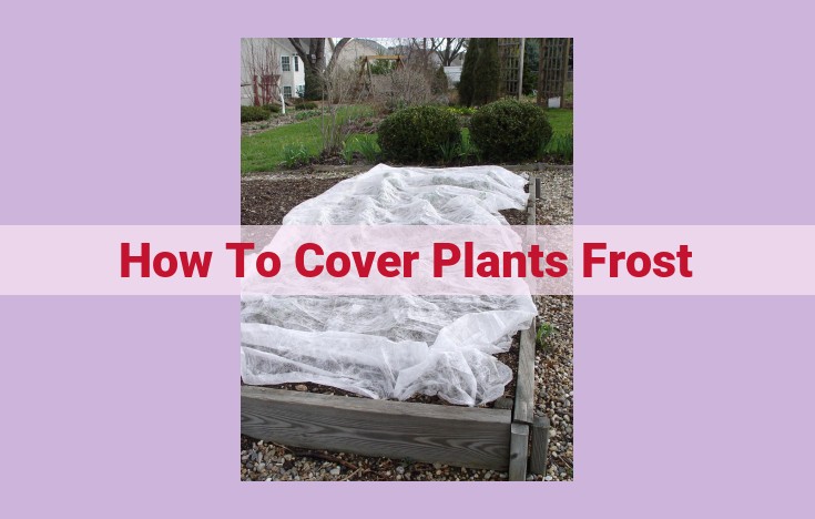 how to cover plants frost