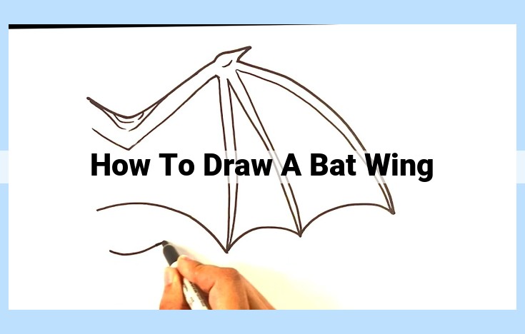 how to draw a bat wing