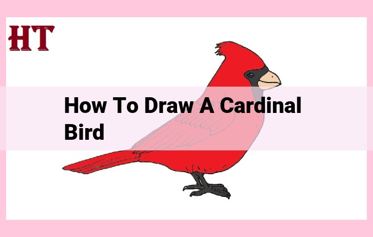 how to draw a cardinal bird