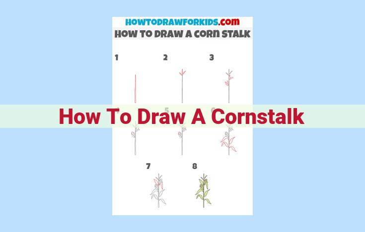 how to draw a cornstalk