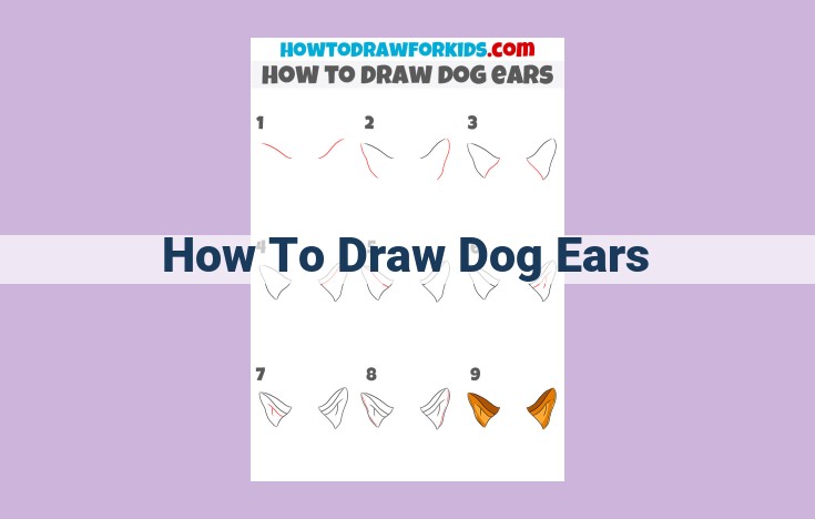 how to draw dog ears