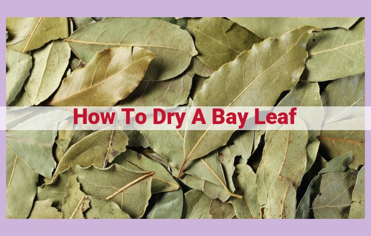 how to dry a bay leaf