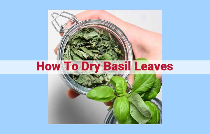 how to dry basil leaves