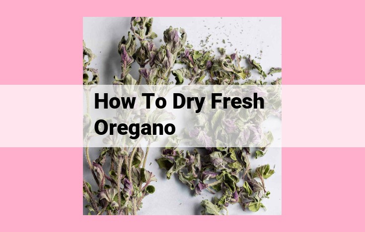 how to dry fresh oregano