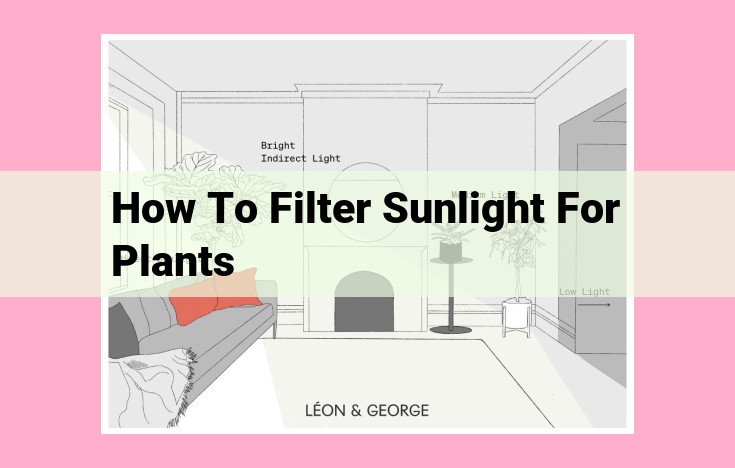 how to filter sunlight for plants