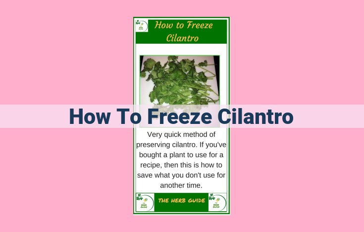 how to freeze cilantro