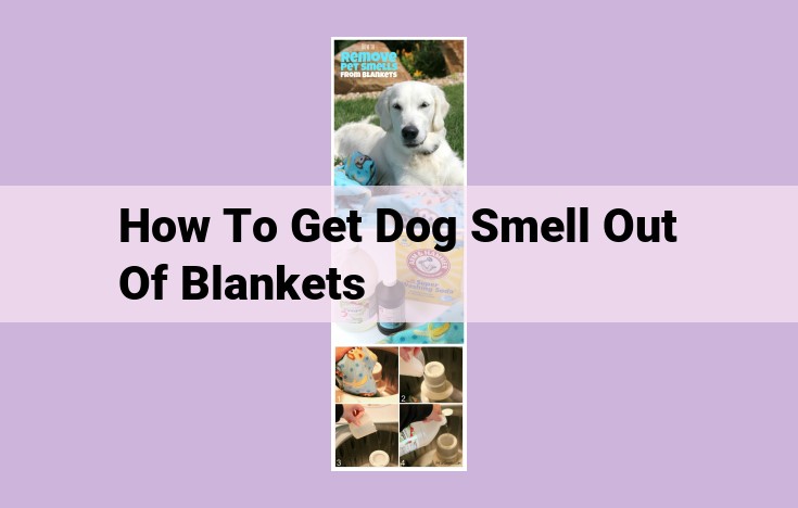 how to get dog smell out of blankets