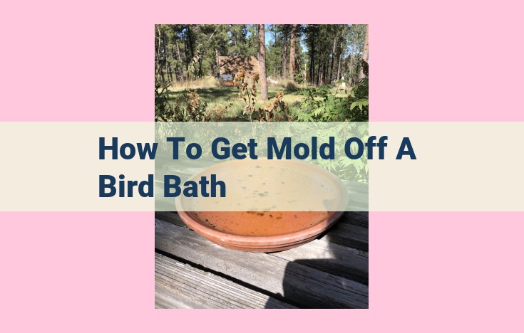 how to get mold off a bird bath