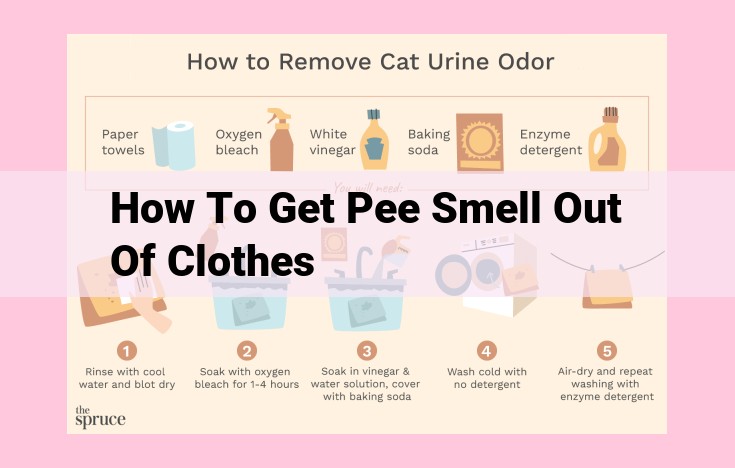 how to get pee smell out of clothes