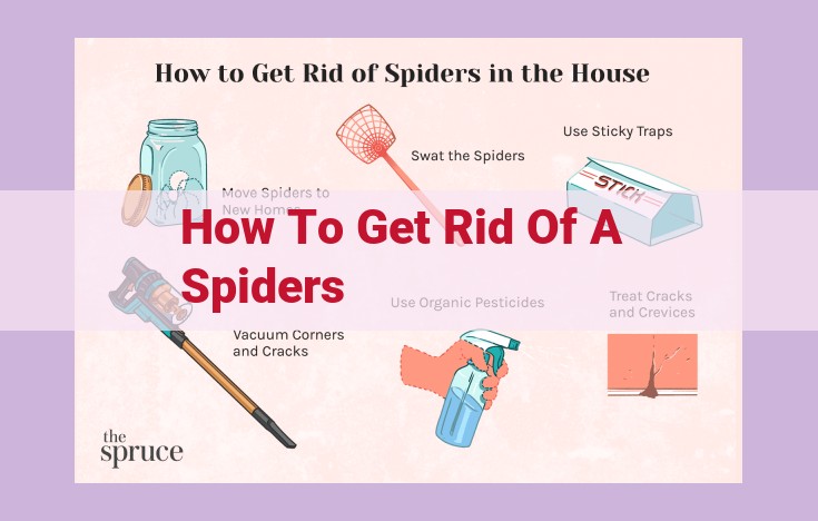 how to get rid of a spiders