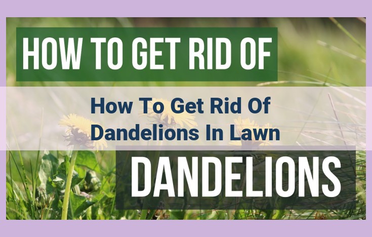 how to get rid of dandelions in lawn