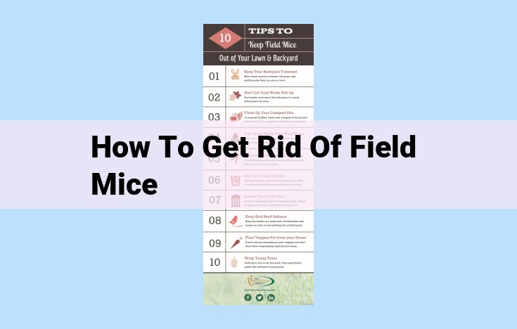 how to get rid of field mice