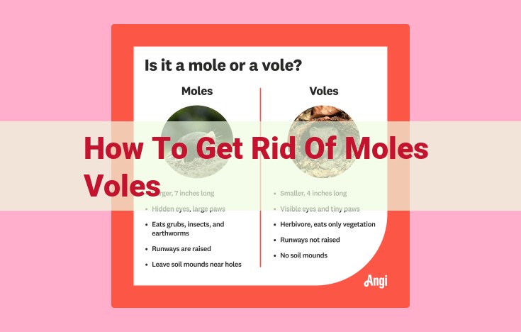 how to get rid of moles voles