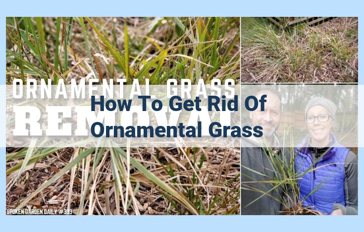 how to get rid of ornamental grass