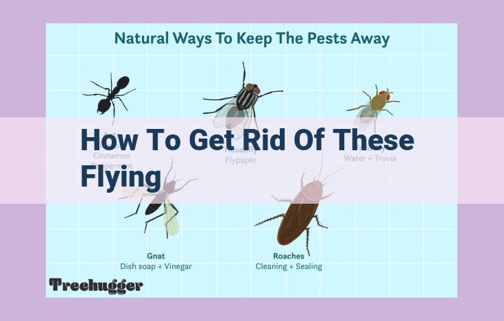 how to get rid of these flying