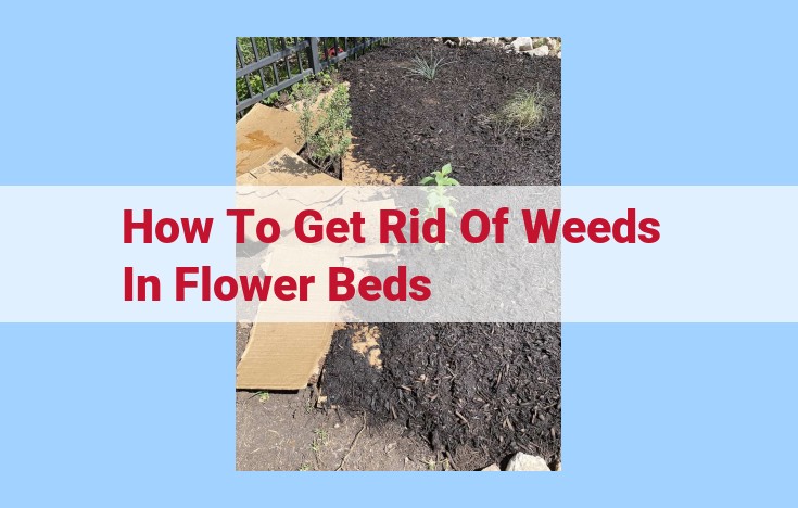 how to get rid of weeds in flower beds