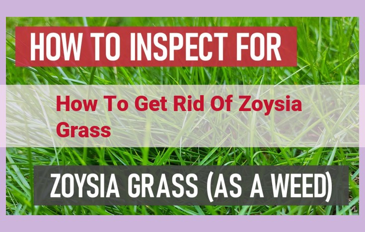 how to get rid of zoysia grass