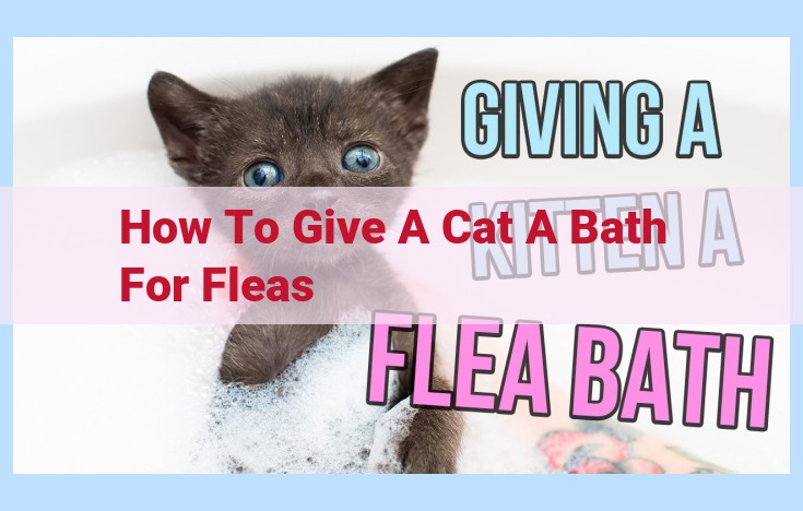 how to give a cat a bath for fleas