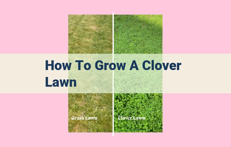 how to grow a clover lawn