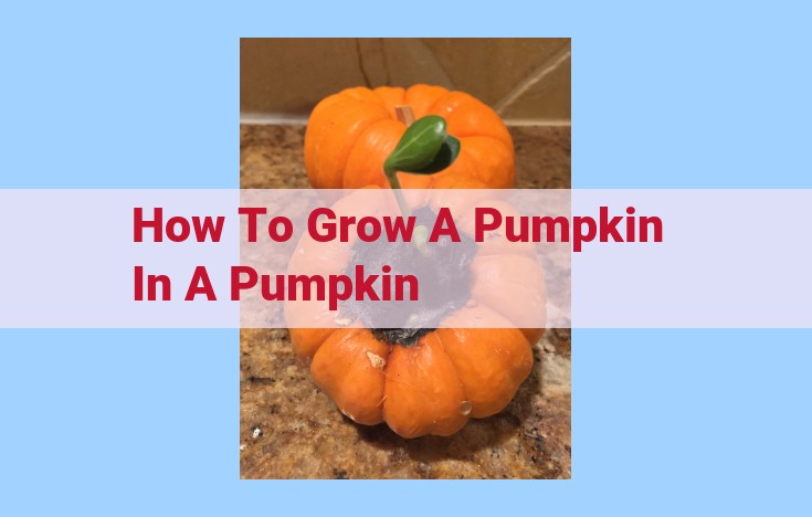 how to grow a pumpkin in a pumpkin