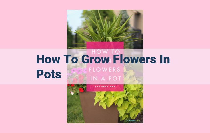 how to grow flowers in pots