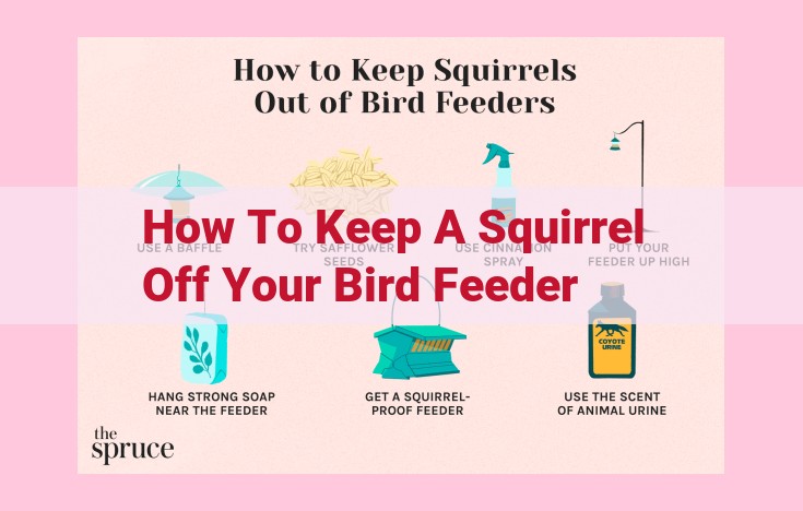 how to keep a squirrel off your bird feeder