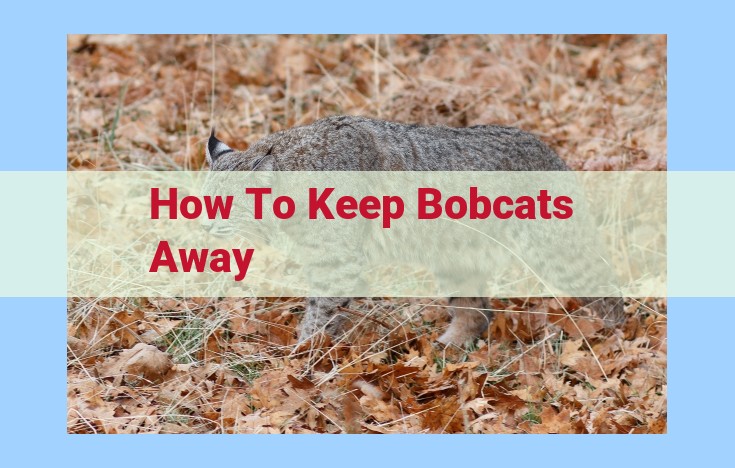 how to keep bobcats away