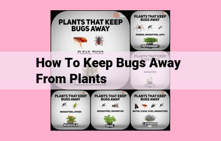 how to keep bugs away from plants