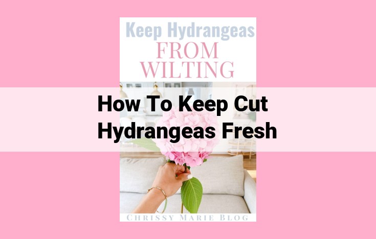 how to keep cut hydrangeas fresh