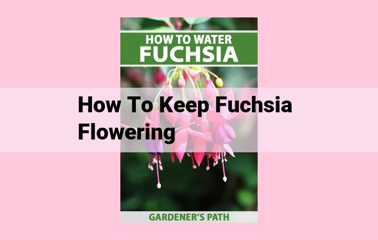 how to keep fuchsia flowering