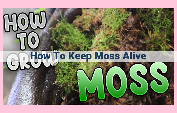 how to keep moss alive