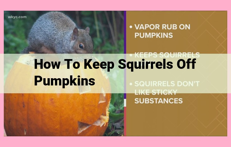 how to keep squirrels off pumpkins