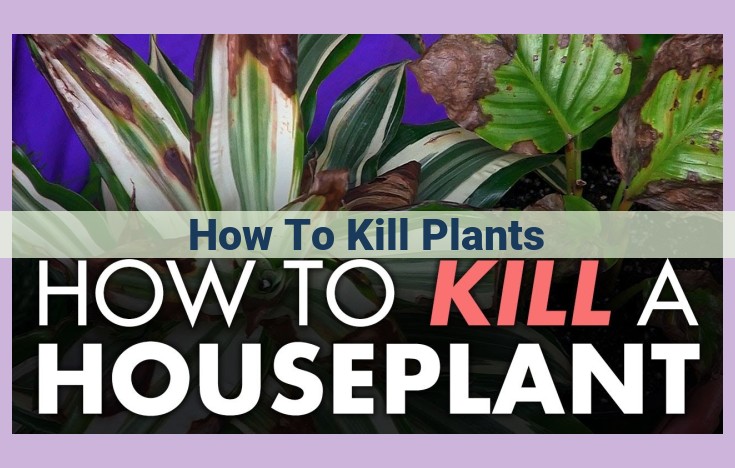 how to kill plants