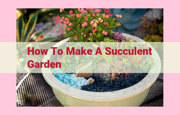 how to make a succulent garden