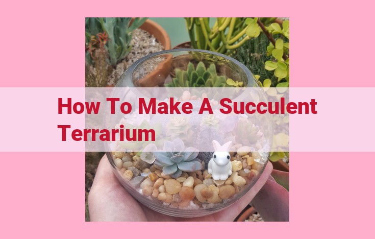 how to make a succulent terrarium