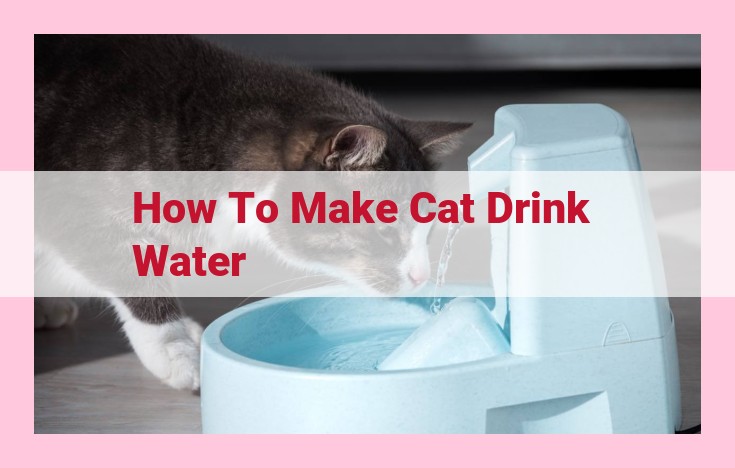 how to make cat drink water