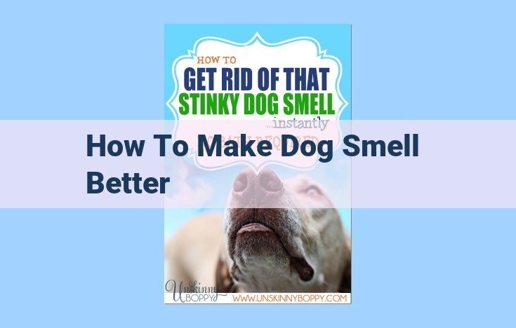 how to make dog smell better