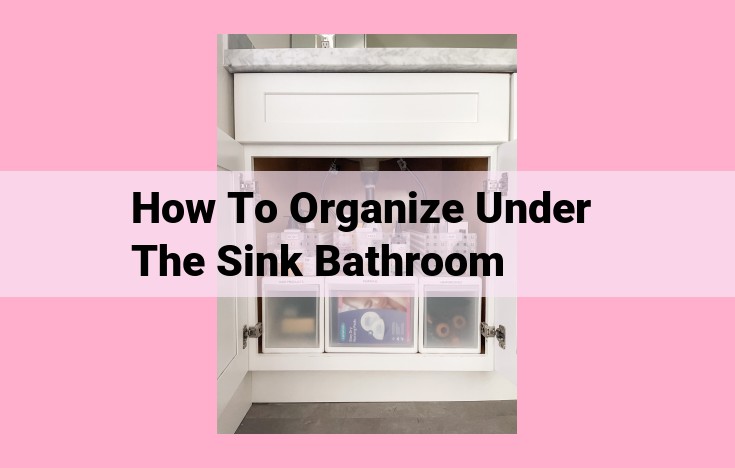 how to organize under the sink bathroom