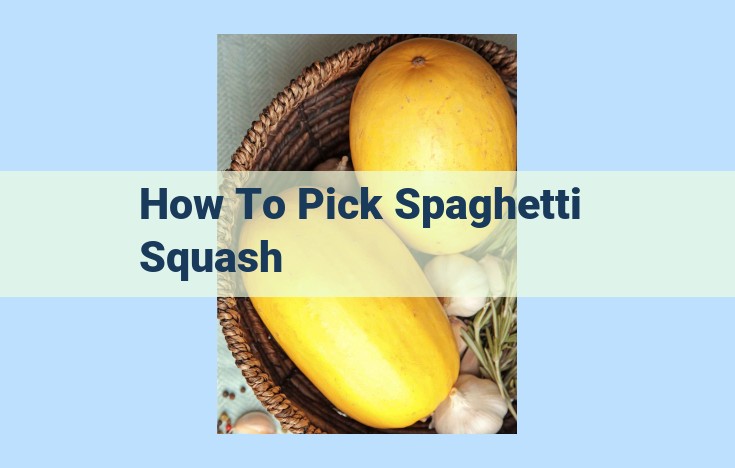 how to pick spaghetti squash