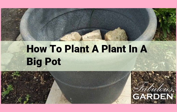 how to plant a plant in a big pot