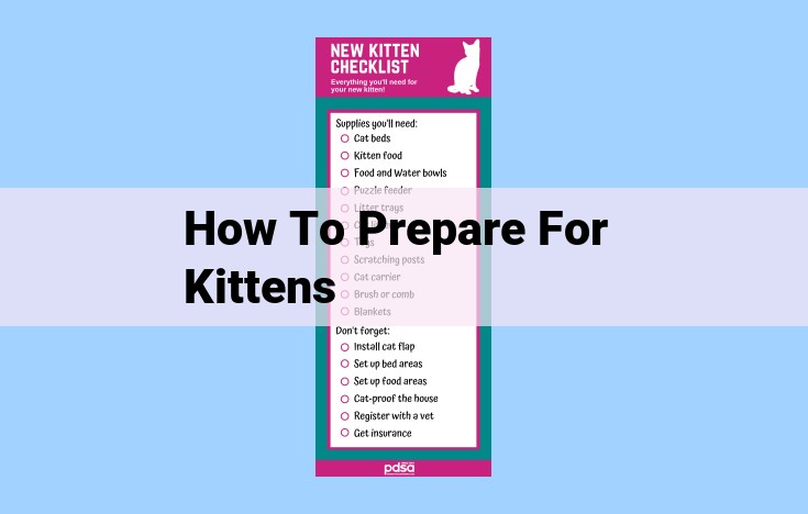 how to prepare for kittens