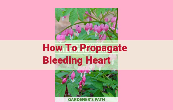 how to propagate bleeding heart