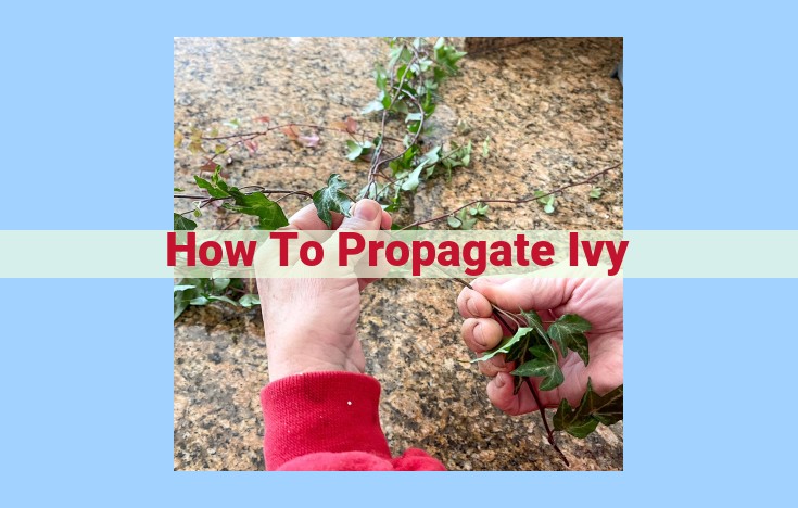 how to propagate ivy