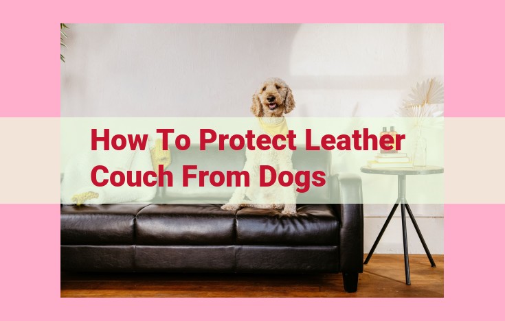 how to protect leather couch from dogs