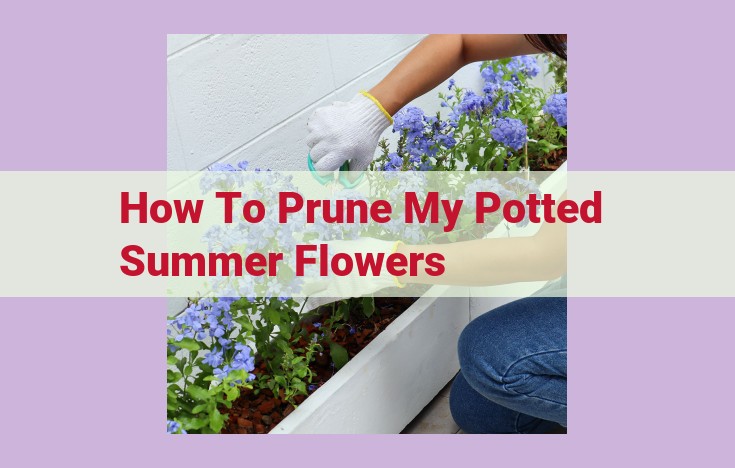 how to prune my potted summer flowers