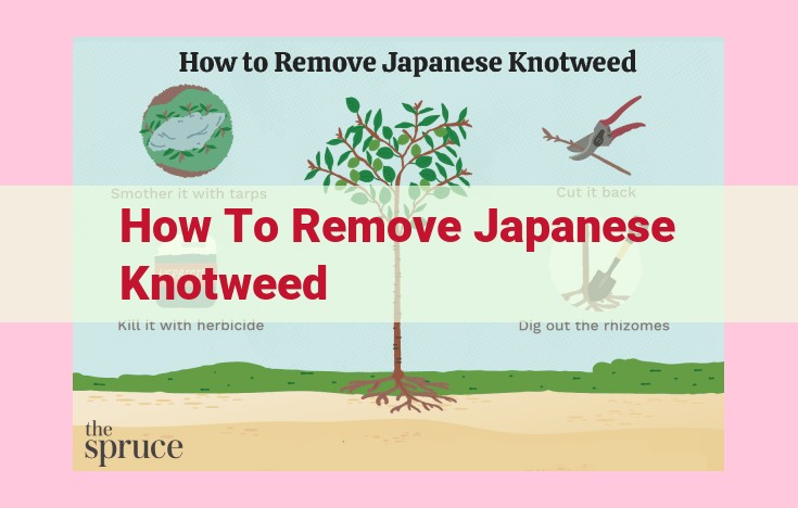 how to remove japanese knotweed