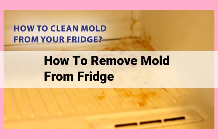 how to remove mold from fridge