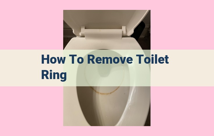 how to remove toilet ring