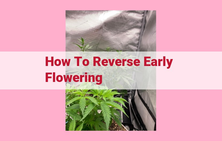 how to reverse early flowering